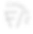 FI